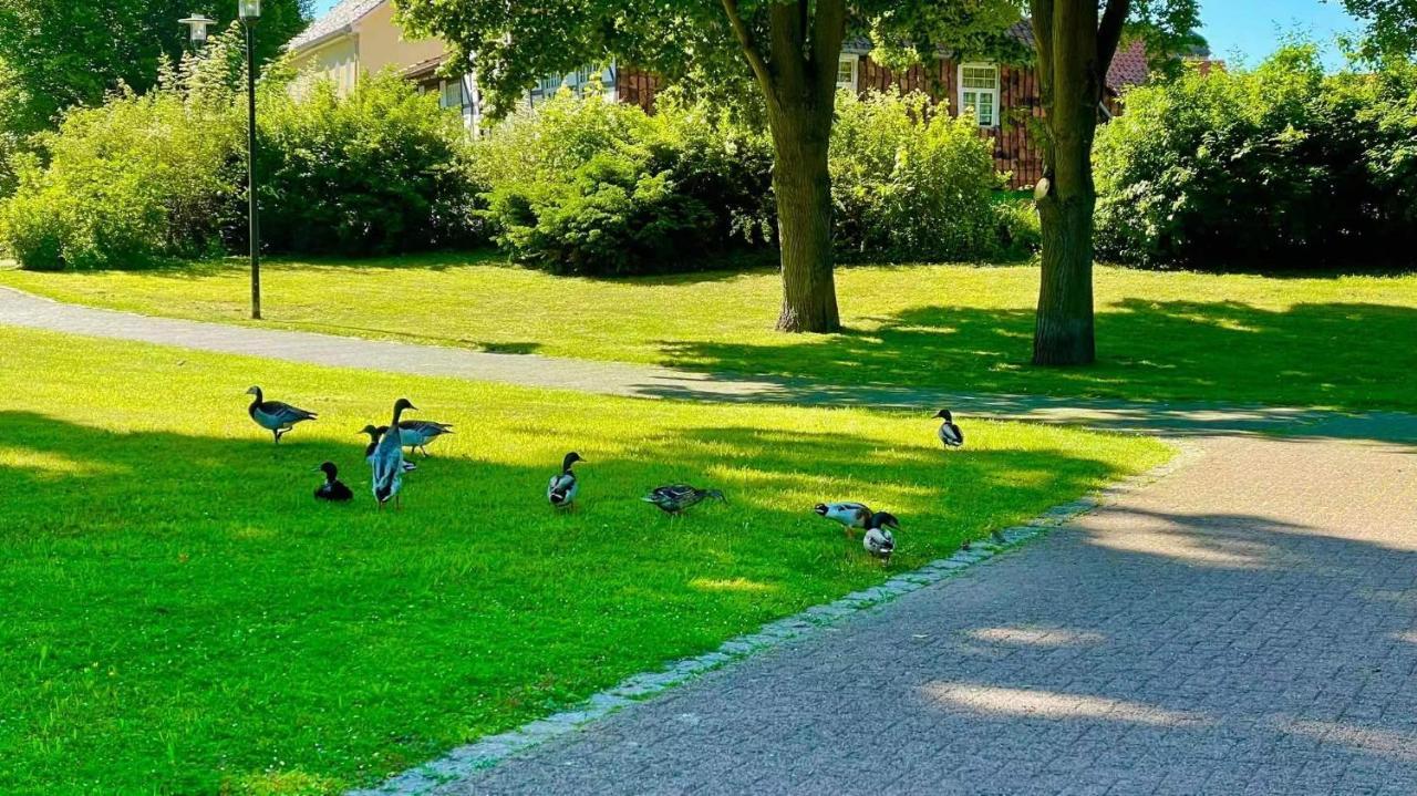 Gaestehaus Ambiente Am Kurpark Bad Sooden-Allendorf Luaran gambar